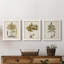 Fern Botanical I - Ensemble de 3 peintures sur toiles encadrées-772660934-772660939