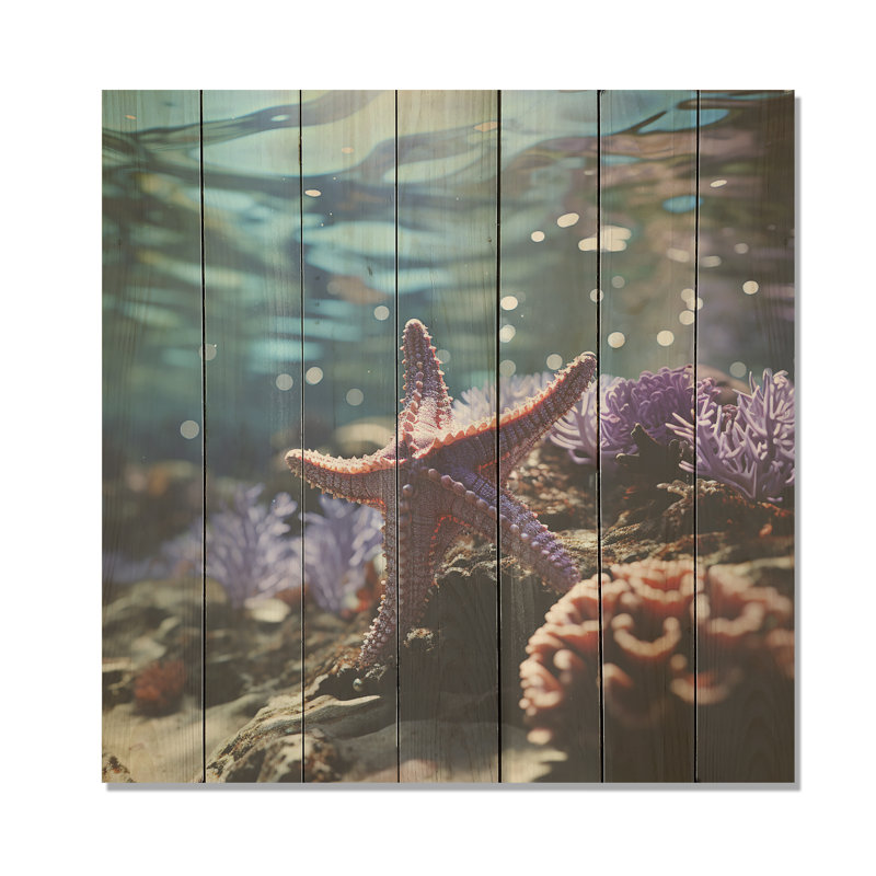 Beachside Coral Starfish Photo IV - Beach On Wood Print, 36" H x 36" W