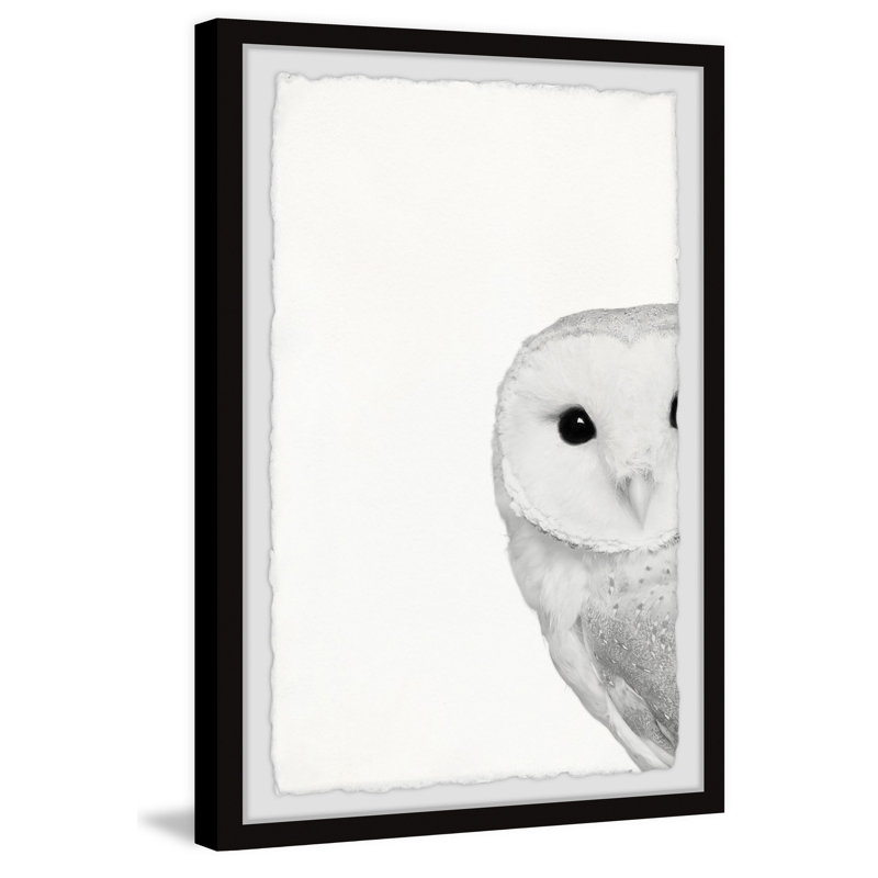 «Hidden Owl II», ensemble de reproductions sur papier, H 30 po x l 20 po x P 1,5 po
