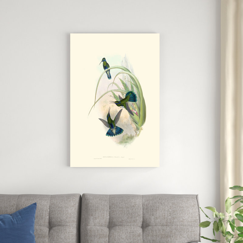 Hummingbird Delight VI, H 36 po x l 24 po x P 1,25 po