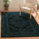 Alisa Oriental Black/Teal Area Rug