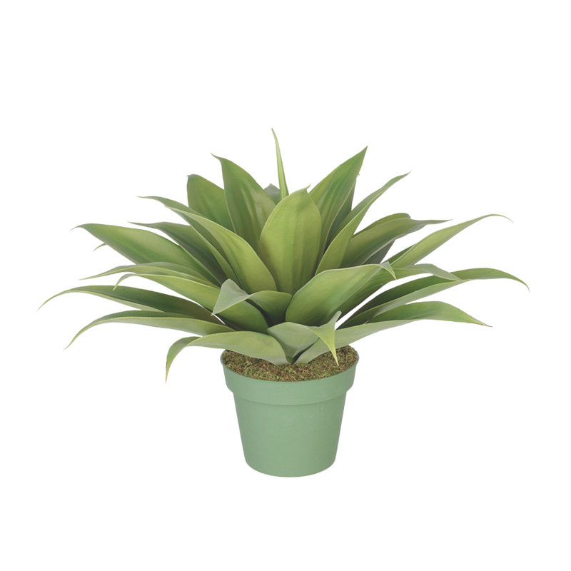 Plante grasse artificielle en pot, H 20 po x l 24 po x P 24 po