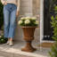 Jardinière de style urne Bayliff-25975233-49802476