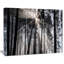«Sunbeam Through Black White Forest», photographie-35125685-35125691
