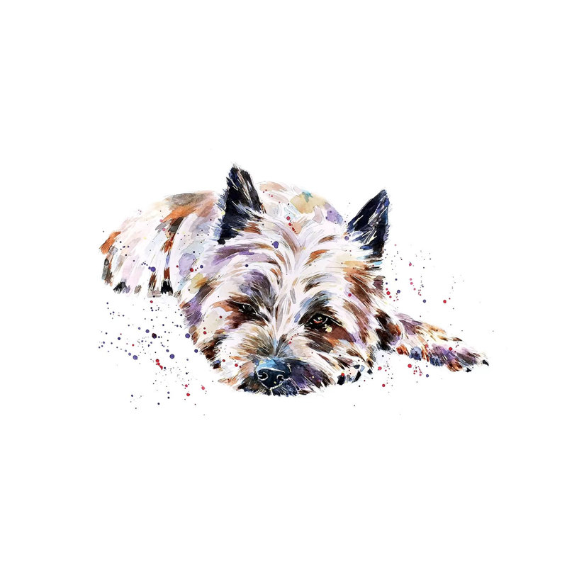 «Cairn Terrier I» par EdsWatercolours, reproduction d'art sur toile tendue, H 8 po x l 12 po x P 0,75 po