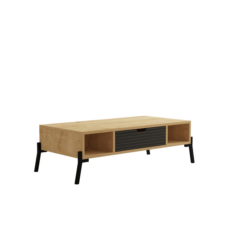 Table basse avec rangement Flara, Brun / gris