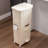 Dry and Wet Recycling Trash Can