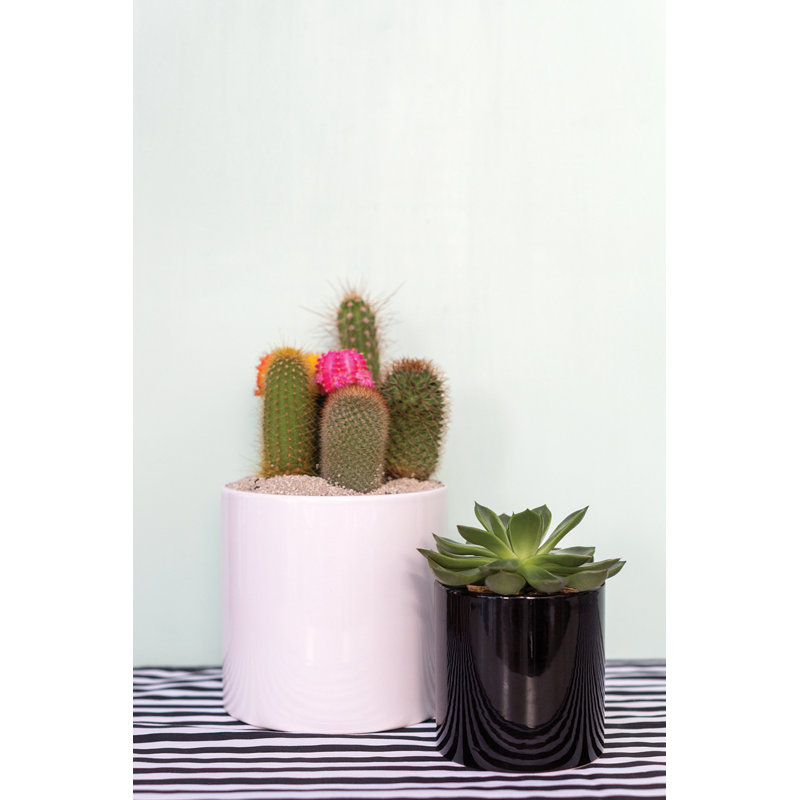 Handmade Ceramic Pot Planter, White, 6.25" H x 6.5" W x 6.5" D