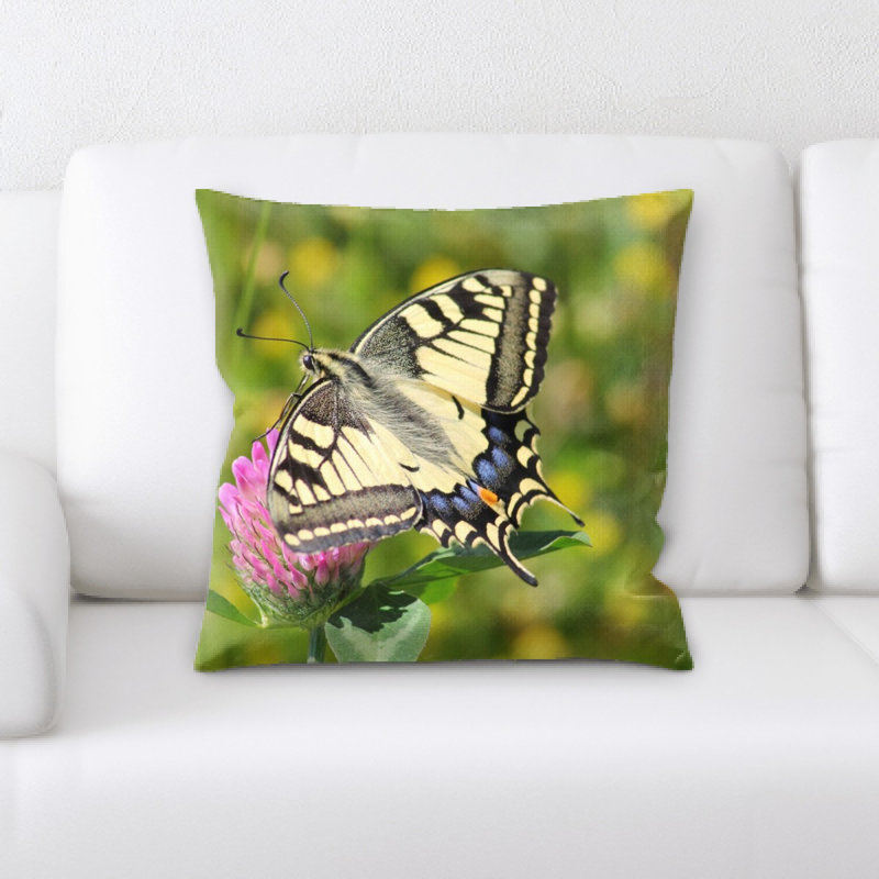 Coussin décoratif papillon machaon