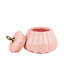 Ensemble de 10 contenants à gourde à motif de citrouille 10 Strawberry Street, rose-116328052