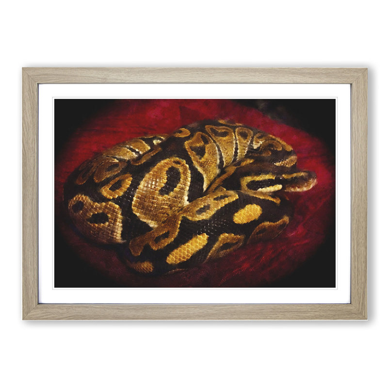 Python Snake - Picture Frame Painting, 27cm H x 36cm W x 2cm D, Oak Framed