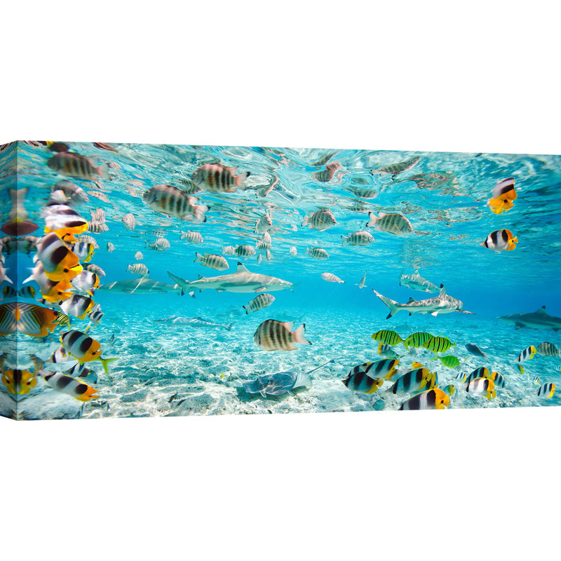 Fish And Sharks I Bora Bora Lagoon - Wrapped Canvas Print, 60cm H x 120cm W