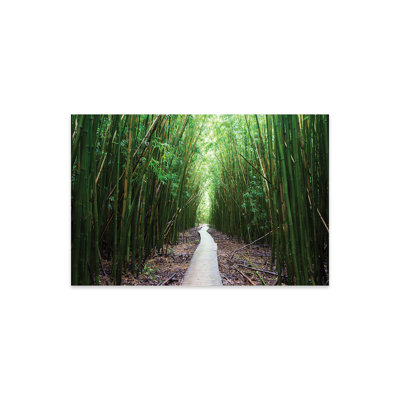 " Boardwalk Through Bamboo, Pipiwai Trail, Hakeakala National Park, Kipahulu, Hana Road, Maui, Hawaii, USA I " by Panoramic Images