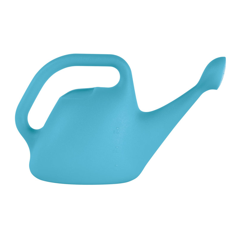 Translucent 1 Gallon Indoor/Outdoor Watering Can