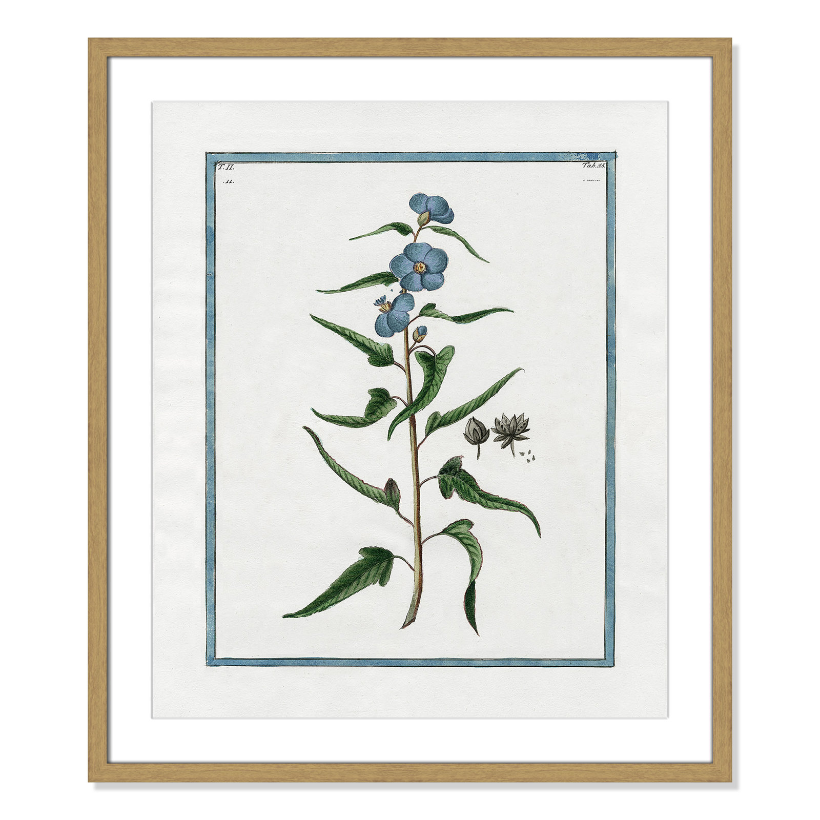 Colombe "Shabby Elegance Botanical I" Print, 21.5" W x 25.5" H, Natural Framed