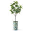 Arbre artificiel avec pot à fleurs en forme de faux drapeau Magnolia (pot en pot et arbre)-104347615