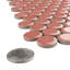 Carreau de mosaïque rond en porcelaine pour plancher et mur 11-7/8 po x 12-5/8 po Hudson Penny-36267892