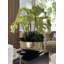 Roberi bowl with multiple stems of white Phalaenopsis orchids-1108591849-1108591851