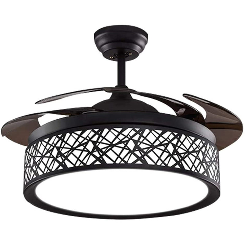 Tasmine 42'' Ceiling Fan with LED Lights, Black/Brown Blades