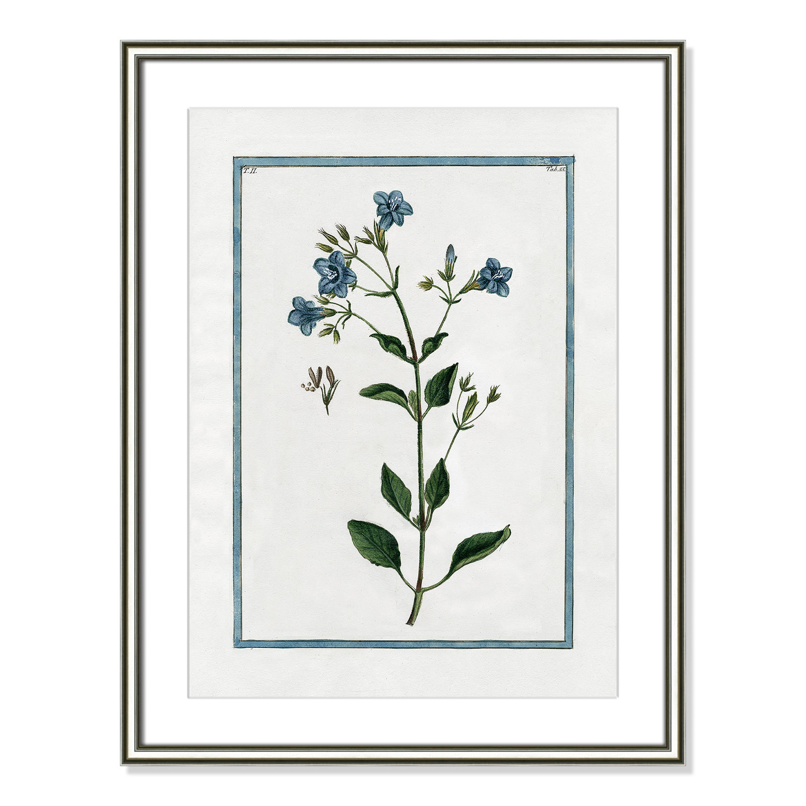 Colombe "Shabby Elegance Botanical II" Print, 18.25" W x 24.25" H, Silver Framed