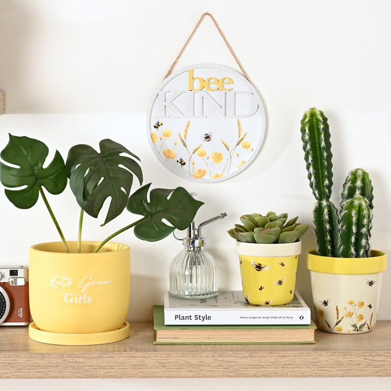 Ceramic Pot Planter