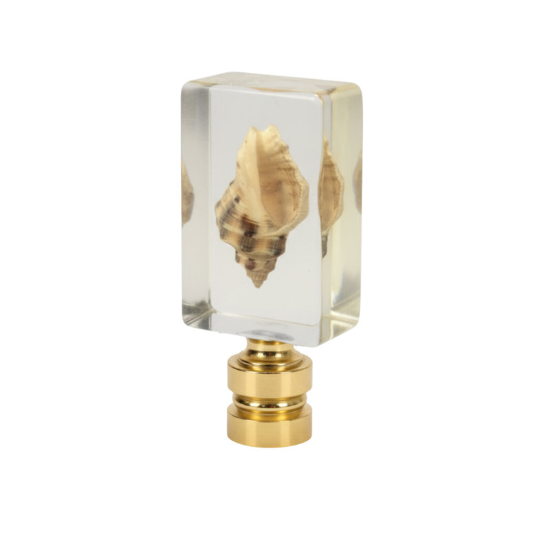 Royal Designs, Inc. F-5116PB-1 Coquille de buccin en résine faite à la main, base en laiton poli, Laiton poli