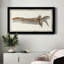 " Driftwood Study II "-430898926