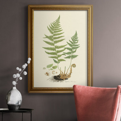 " Curtis Ferns II "