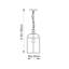 Bearse 1 - Light Lantern Pendant-25947713