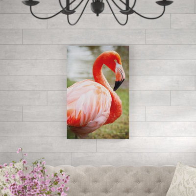 Flamingo I by Debra Van Swearingen - Wrapped Canvas Print