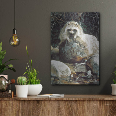 " Low WaterRaccoon " by Ron Parker