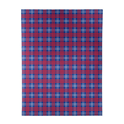 Plaid Indoor Rug