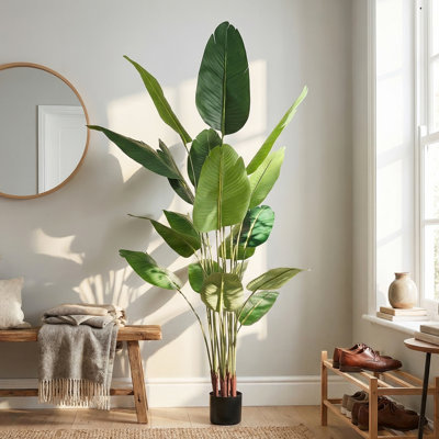 Faux Plant Traveller's Palm
