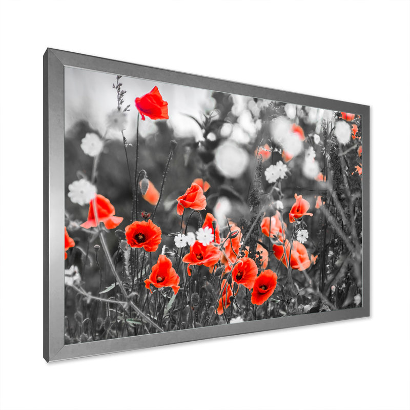 «Red Poppy Flowers on the», reproduction sur toile, Toile argentée avec cadre photo, H 16 po x l 32 po x P 1 po