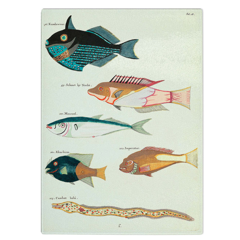 Glass East indies Fish Illustrations Fol. 18 by Louis Renard Chopping Board, 39 cm W x 28.5 cm L