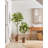Faux Lemon Tree in Planter-24273043