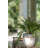 Pot Planter-67182933-67182934-69263628