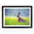 Black Framed selected