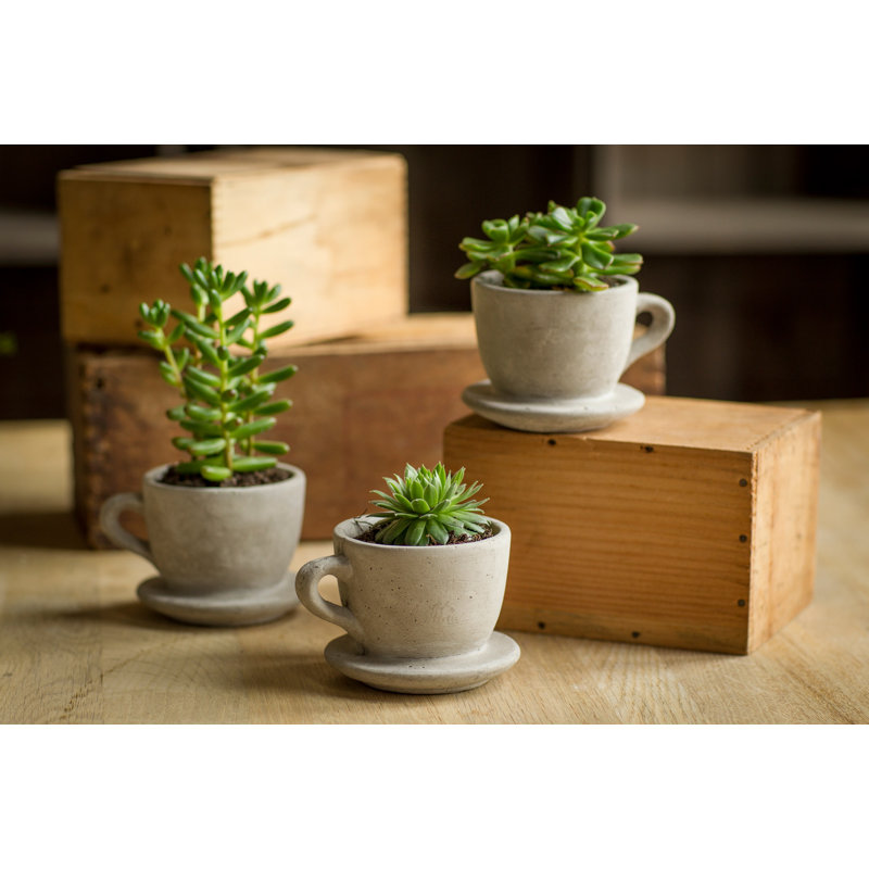 Abordale Statue Planter