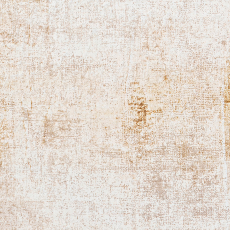 Antaniyah Faux Rabbit Fur Hand Tufted Rug, Rectangle 5' x 7'