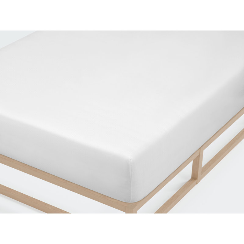 Bellos 100% Cotton Jersey Knit Fitted Sheet, 200 x 200 cm, White