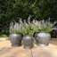 Pot à fleurs cuivré