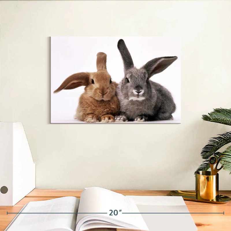 Lapins bruns et gris, H 8 po x l 12 po