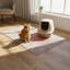 Tapis de lit pour chat lavable The Avalon Society, Hana Blush, 36 x 48 po-121373146-121373148