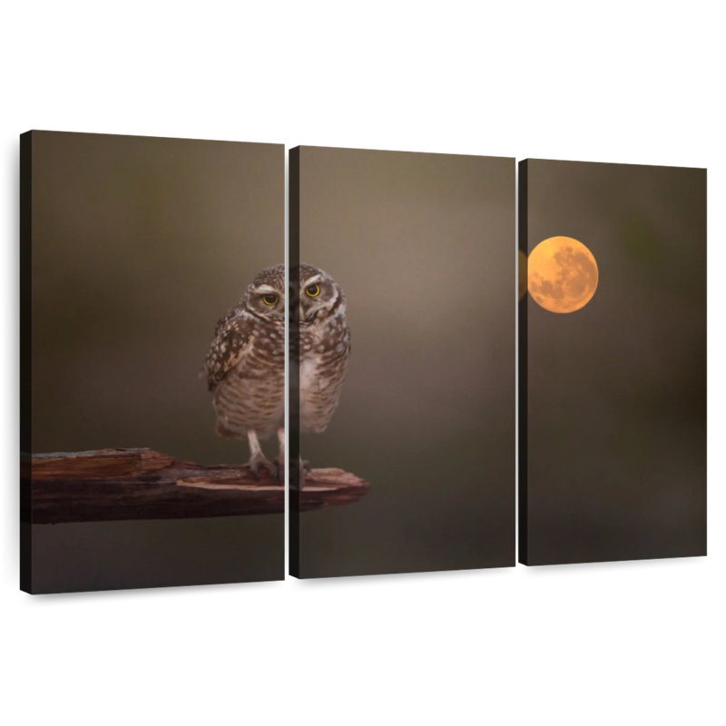 Brampt Owl Under The Moon, 24" H x 38" W