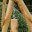 Hugo 300 Person Pine Porch Swing