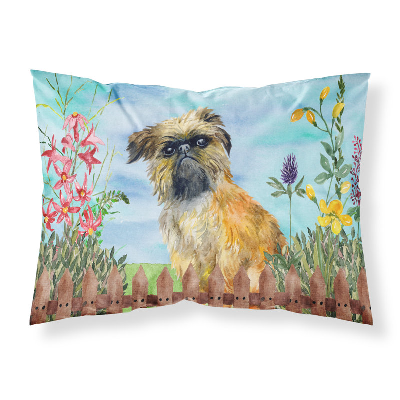 Taie d’oreiller spring, Griffon bruxellois