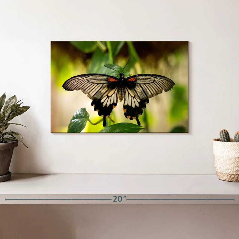 Monarch Butterfly, 8" H x 12" W