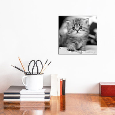 Mine by Keith Kimberlin - Print on Canvas