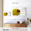 Coccinelle sur camomille-60374134